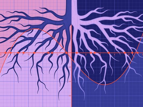 New Proof Illuminates the Hidden Structure of Common Equations