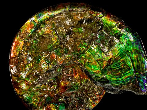 Life Helps Make Almost Half of All Minerals on Earth