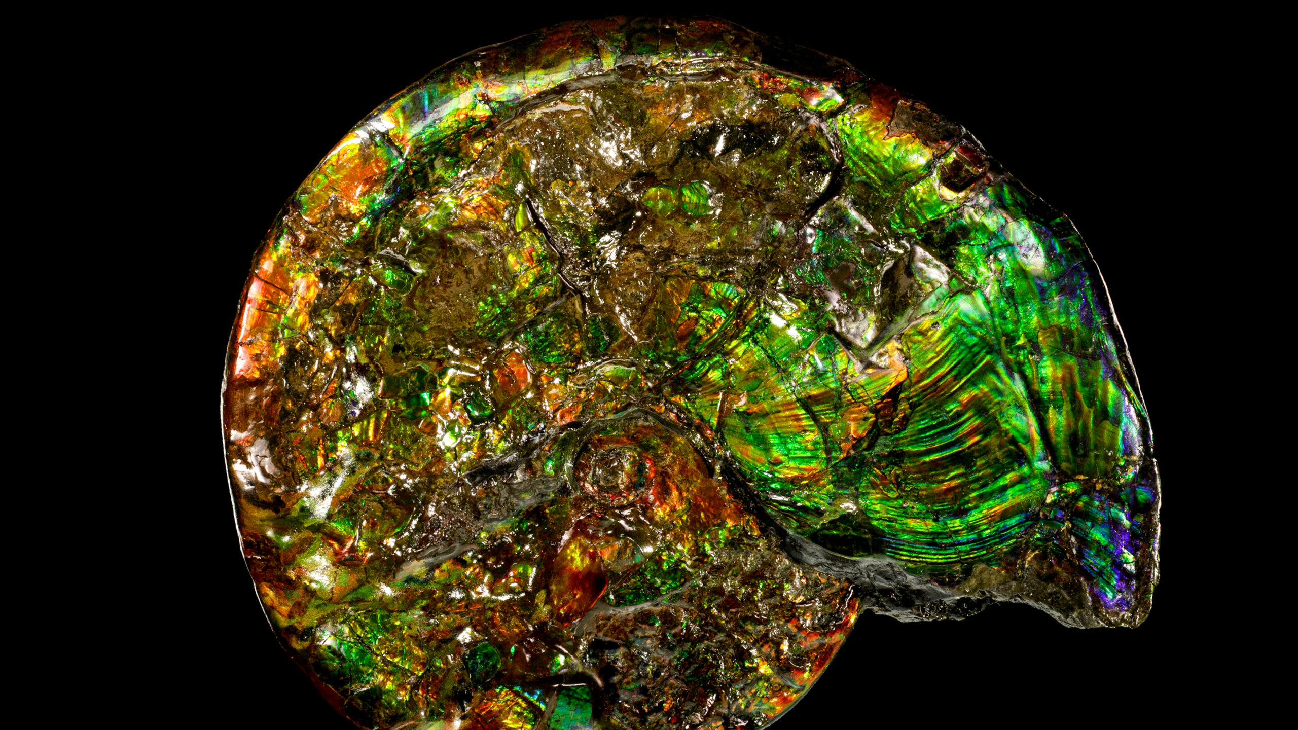 summary header image